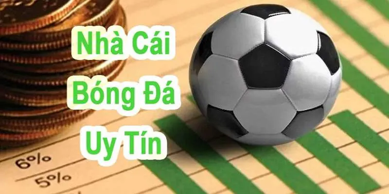 Giải thích thông tin khái quát về app thông minh này 
