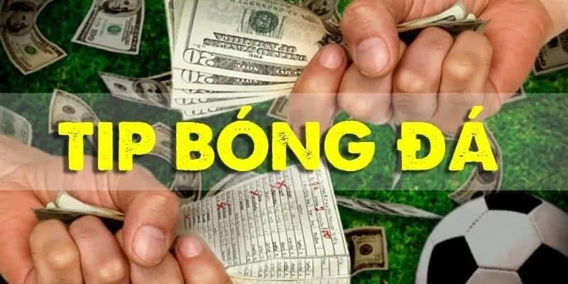 Các Loại Tips Bóng Đá Sử Dụng Phổ Biến Nhất Hiện Nay 